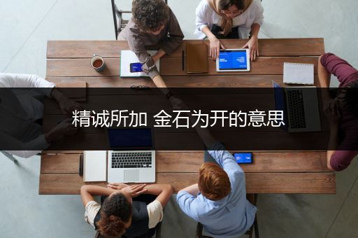 精诚所加 金石为开的意思